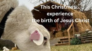 Drive Thru Live Nativity December 14-15 2024 6-9 PM